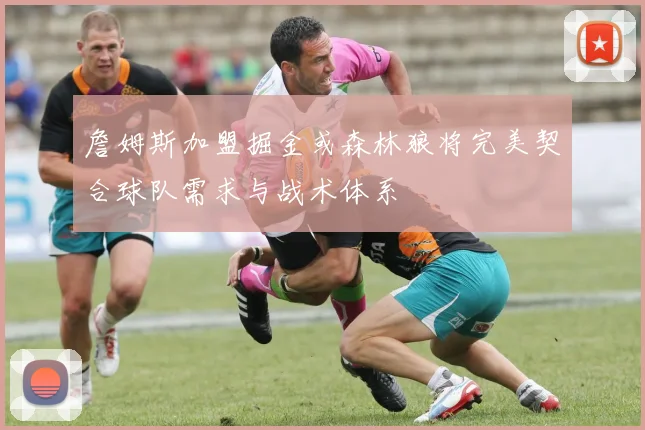 詹姆斯加盟掘金或森林狼将完美契合球队需求与战术体系