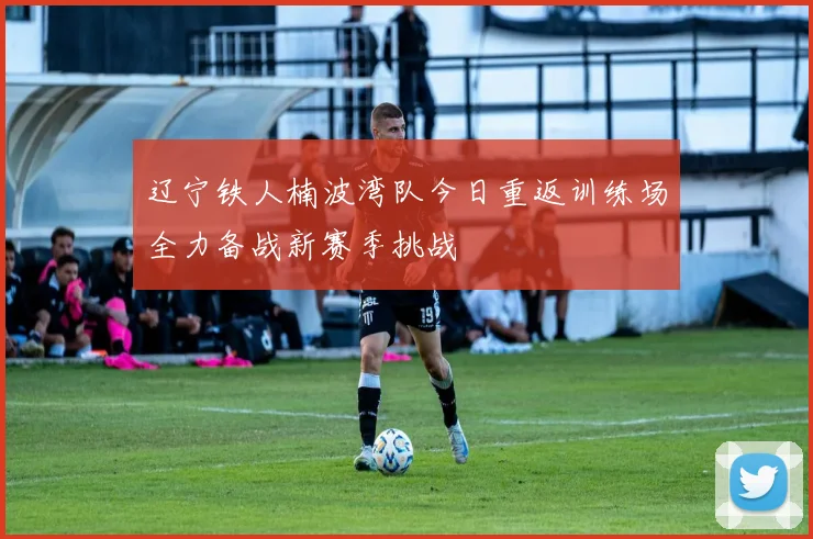 辽宁铁人楠波湾队今日重返训练场全力备战新赛季挑战